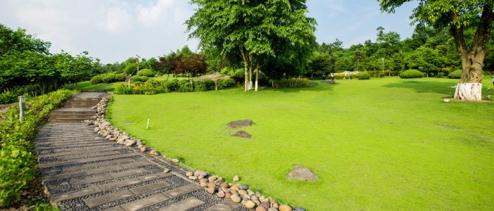 Grassland landscape and greening environment park background